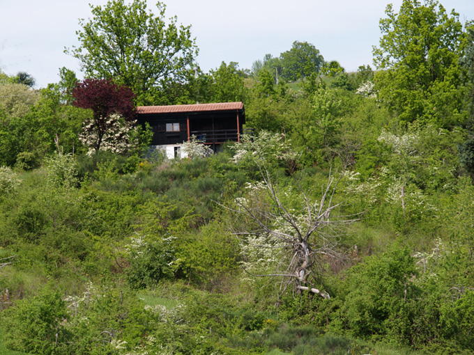 Oasi naturalistica del Carmine